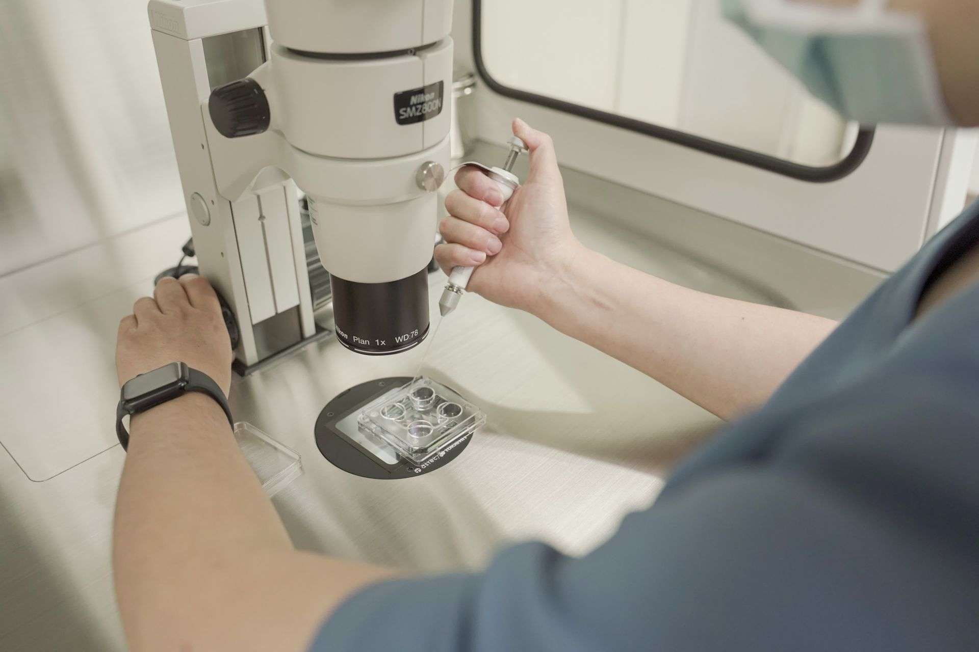 《为什么在取卵后就要立刻决定是否做PGS？》