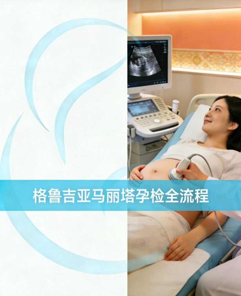 《马丽塔格鲁吉亚：代孕妈妈孕检全流程——给准父母的一份安心说明书（数据总结版）》