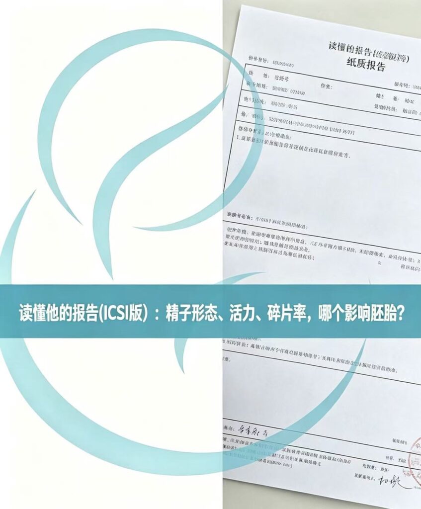 《读懂他的报告（ICSI版）：精子形态、活力、碎片率，哪个影响胚胎？》