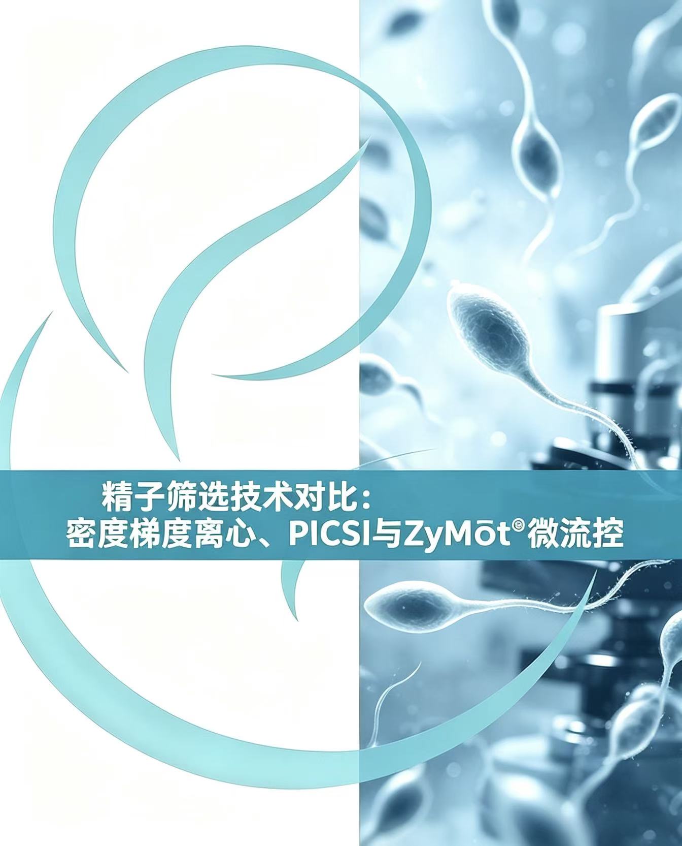 《精子筛选技术对比：密度梯度离心、PICSI与ZyMōt®微流控》